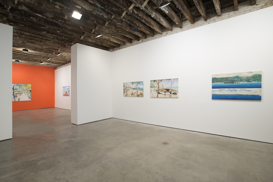 Clement Siatous, Sagren, 2015. Exhibition view, Simon Preston Gallery, New York. Image