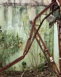 Abandoned Tourist Attraction, Palmdale by Anastasia Samoylova contemporary artwork print