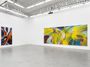 Contemporary art exhibition, Andrea Marie Breiling, The Swallow at Almine Rech, Brussels, Belgium