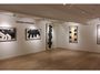 Contemporary art exhibition, Yang Xiaojian, Fauvist Ink 水墨野獸派 at Alisan Fine Arts, Aberdeen, Hong Kong