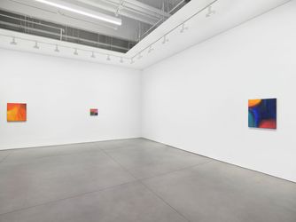 Exhibition view: Markus Amm, How Much Paint Is in a Painting, David Kordansky, New York (10 January–24 February 2024). Courtesy David Kordansky.