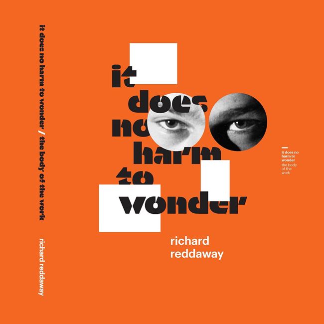 it does no harm to wonder / the body of the work by Richard Reddaway contemporary artwork