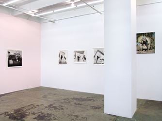 Exhibition view: Elaine Stocki, The Palms, Thomas Erben Gallery, New York (29 May–28 June 2014). Courtesy Thomas Erben Gallery. 