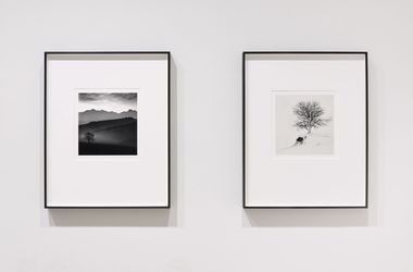 Exhibition view: Michael Kenna, Trees, Galerie Albrecht, Berlin (21 October–2 December 2023). Courtesy Galerie Albrecht. Photo: Sandy Volz.