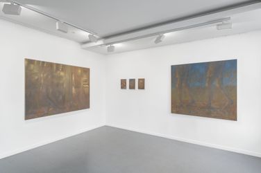 Exhibition view: Fabien Adèle, Blush, Almine Rech, Paris (13 April–4 May 2024). Courtesy Almine Rech