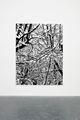 SNOW FOREST 002A by Farhad Moshiri contemporary artwork 2