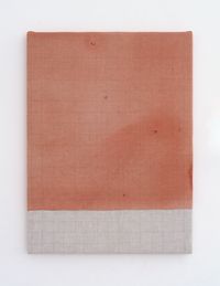 Endnote oblique, pink (brown, red) by Ian Kiaer contemporary artwork painting