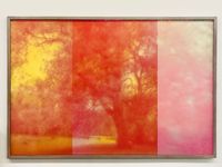 Portrait of a Tree in Pink and Scarlet by Paul Rusconi contemporary artwork painting