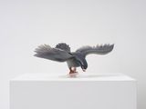 Empowered Pigeon 1 by Laure Prouvost contemporary artwork 1