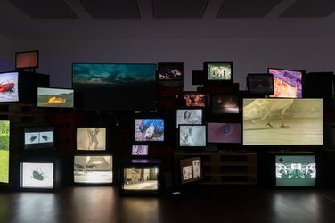Exhibition view: Douglas Gordon, All I need is a little bit of everything, Gagosian, London (1 February-15 March, 2024). Artwork © Studio lost but found/VG Blind-Kunst, Bonn, Germany, 2024. Corutesy Gagosian. Photo Lucy Dawkins.
