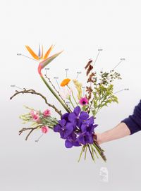 A Critic's Bouquet by Hili Perlson for Berlinde de Bruyckere by Natalie Czech contemporary artwork print