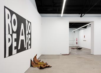 Threshold of things, 2023 (installation view) Courtesy of 1301SW, Melbourne