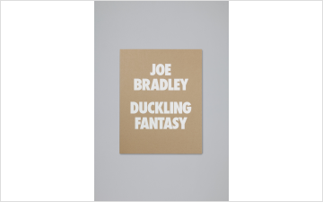 Joe Bradley: Duckling Fantasy, 2014