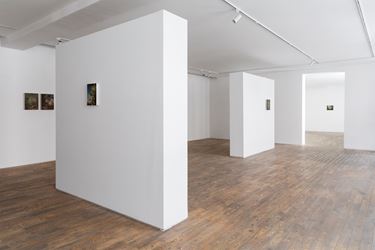 Exhibition view: Christopher Orr, HdM GALLERY, Beijing (18 July–21 August 2020). Courtesy HdM GALLERY.