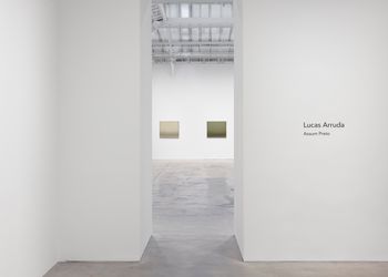 Exhibition view: Lucas Arruda, Assum Preto, David Zwirner, Paris (9 April–22 May 2022). Courtesy David Zwirner. 