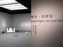 Contemporary art exhibition, So Yo Hen, Good night, see you later at TKG+, TKG+, Taipei, Taiwan