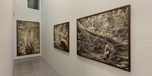 Exhibition view: Cássio Vasconcellos, Dryads and Fauns, Rio de Janeiro, Galeria Nara Roesler (5 March–31 July 2020). Courtesy Galeria Nara Roesler.