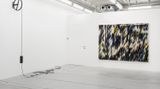 Contemporary art exhibition, Matthias Bitzer, Root / Ruin / Rhapsody at Almine Rech, Brussels, Belgium