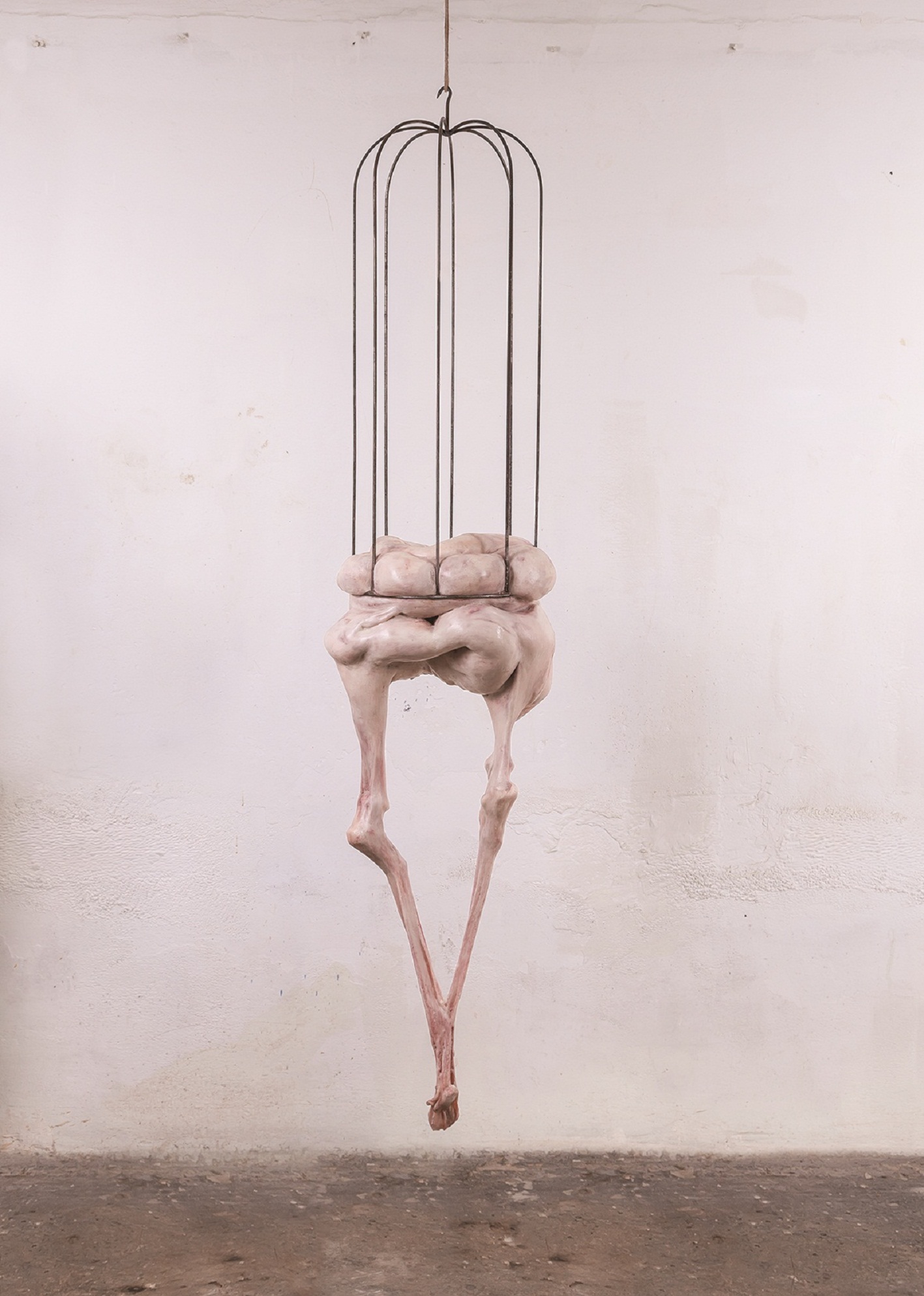 Francesco Albano's Art For Sale, Exhibitions & Biography | Ocula Artist