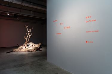 Exhibition view: Yu-Ping Kuo, How Real is Yesterday 昨日有多真實, TKG+ Projects, Taipei (20 July–8 September 2019). Courtesy TKG+ Projects.