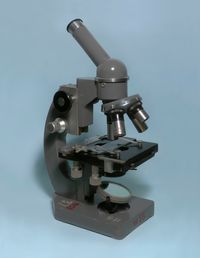 Untitled (Microscope) by Gao Lei contemporary artwork print