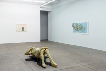 Exhibition view: Christian Holstad, New Positions, Andrew Kreps Gallery, New York (18 May–24 June 2017). Courtesy Andrew Kreps Gallery, New York.