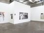 Contemporary art exhibition, Kristin Hollis, Skin at Jonathan Smart Gallery, Christchurch, New Zealand