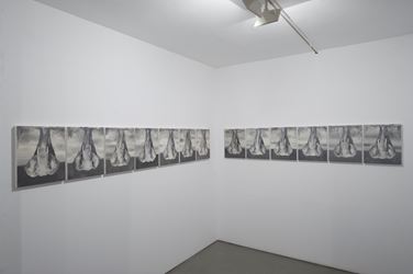 Exhibition view: Babak Golkar, The Elephant (an Intermission), Sabrina Amrani Gallery, Madera, 23, Madrid (12 September–21 December 2019). Courtesy the artist and Sabrina Amrani Gallery.