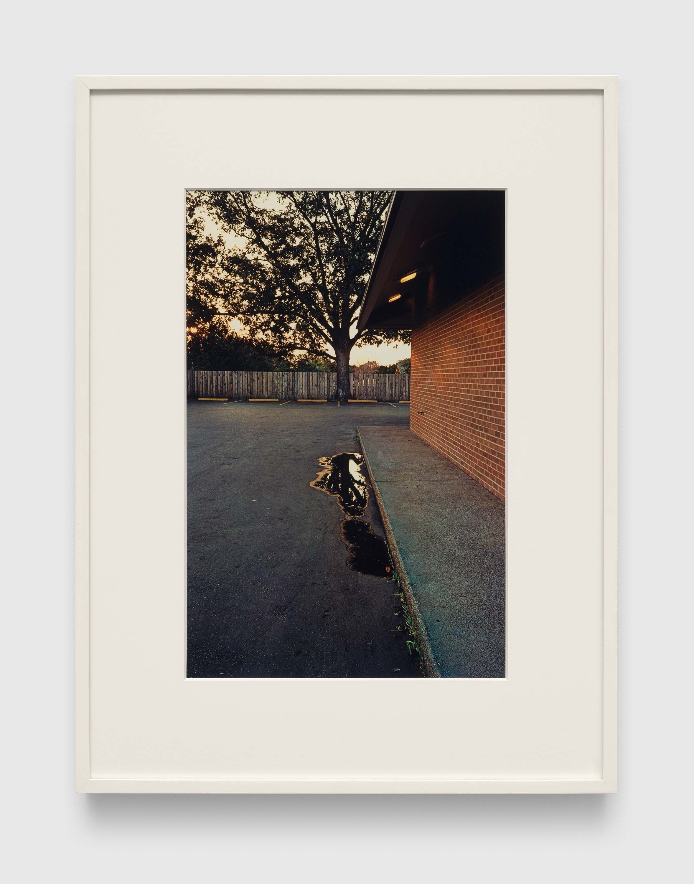 William Eggleston's Art For Sale, Exhibitions & Biography | Ocula