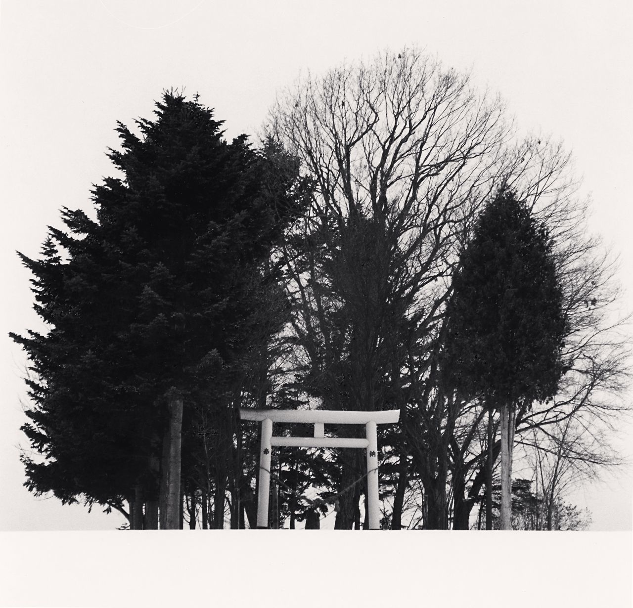 Michael Kenna's Art For Sale, Exhibitions & Biography