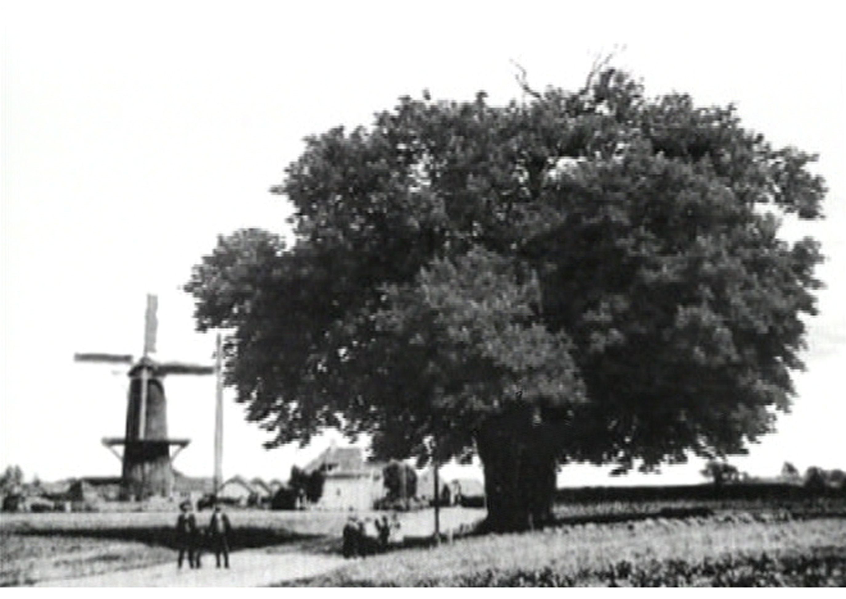 David Claerbout, Ruurlo, Bocurloscheweg (1910). Single channel video projection, black & white, silent, 10 min loop.