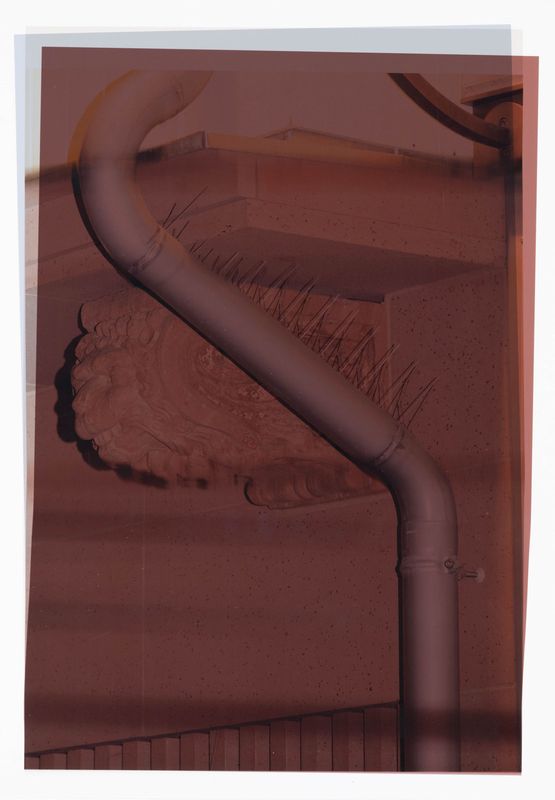 3_27 Spolie Barocker Kragstein Lowe mit Textilband Provenienz Unbekannt Standort Alter Burggraf Markt 34 Datierung 18. Jh. by Daniel Poller contemporary artwork Print