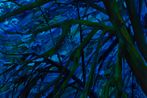 Claire Sherman contemporary artist