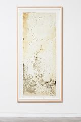 Scatter by Joyce Campbell contemporary artwork photography