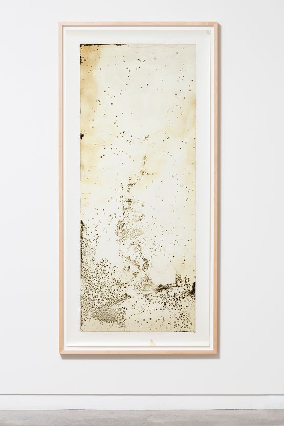 Scatter by Joyce Campbell contemporary artwork Photography