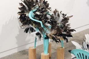 Judy Darragh