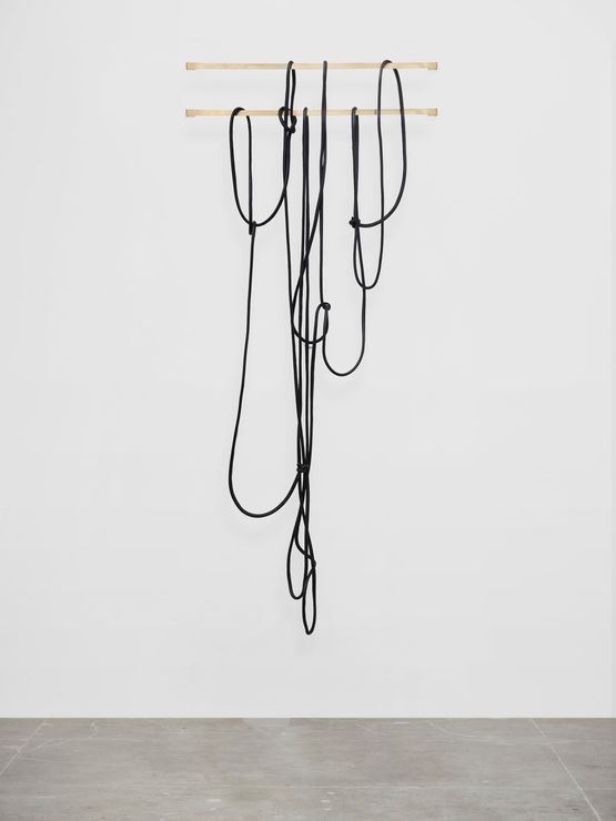 discrepancies with W.W. 11 by Leonor Antunes contemporary artwork Sculpture