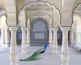 A Moment of Solitude by Karen Knorr contemporary artwork print