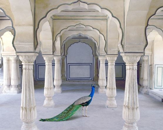 A Moment of Solitude by Karen Knorr contemporary artwork Print