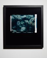 Still from The Reef 2 by Joyce Campbell contemporary artwork photography