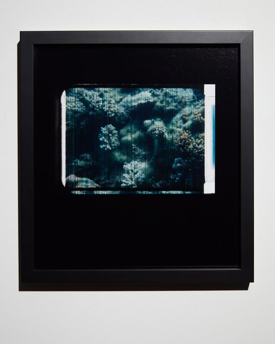 Still from The Reef 2 by Joyce Campbell contemporary artwork Photography