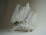 condense-claw by He Yusen contemporary artwork sculpture