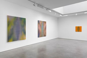 Contemporary art exhibition Roy Colmer Roy Colmer at Lisson Gallery London United Kingdom