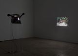 Pheasant by James Coleman contemporary artwork moving image