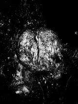 Nocturnal 04 by Rusty Fox contemporary artwork print