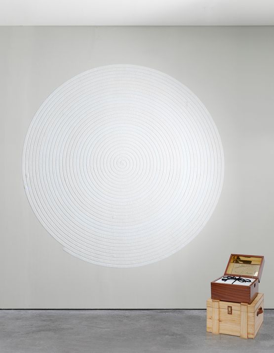 Virus I by Bharti Kher contemporary artwork Installation