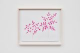 Bromelias by Gerardo Rosales contemporary artwork painting works on paper