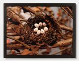 Too Late by Nina Katchadourian contemporary artwork photography
