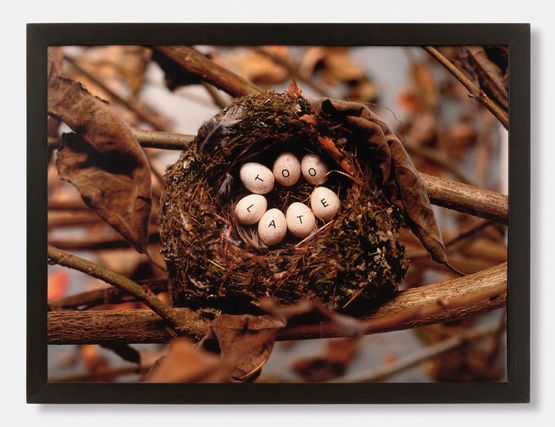Too Late by Nina Katchadourian contemporary artwork Photography