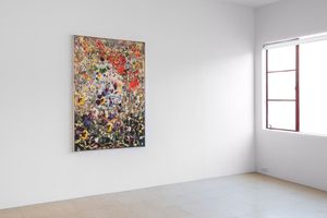 Petra Cortright